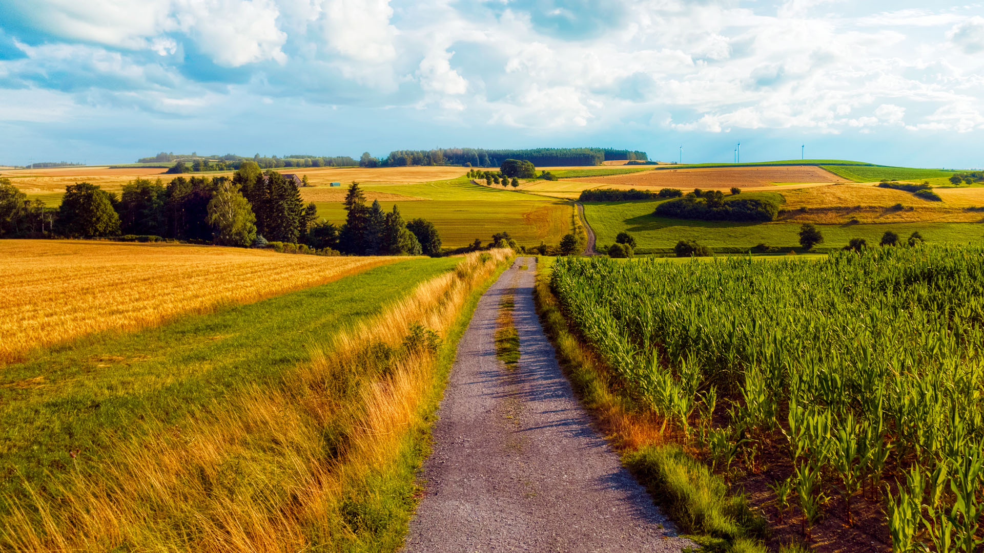 Agriculture, forestry and food in a climate neutral EU