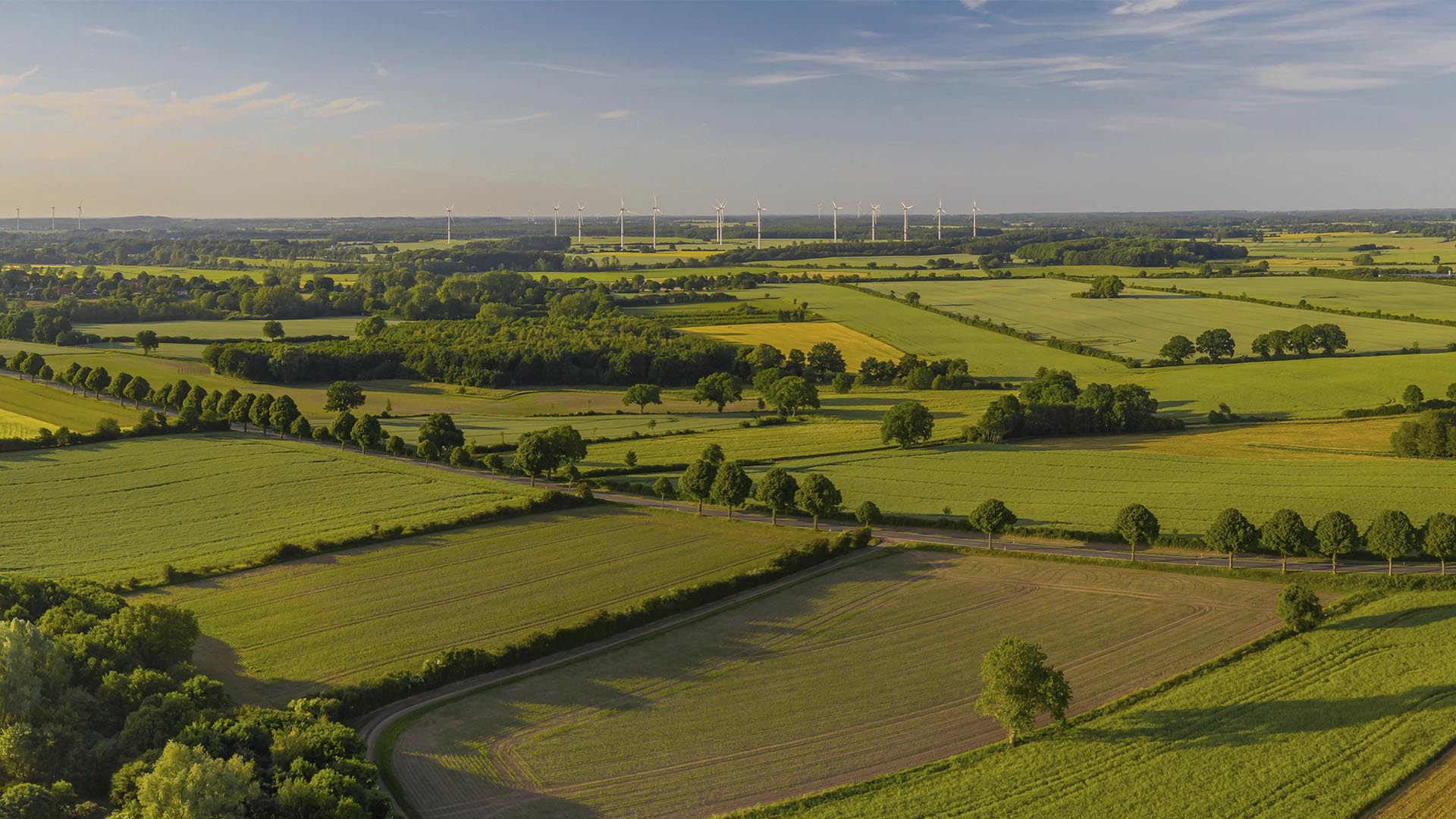 Land use in the bioeconomy