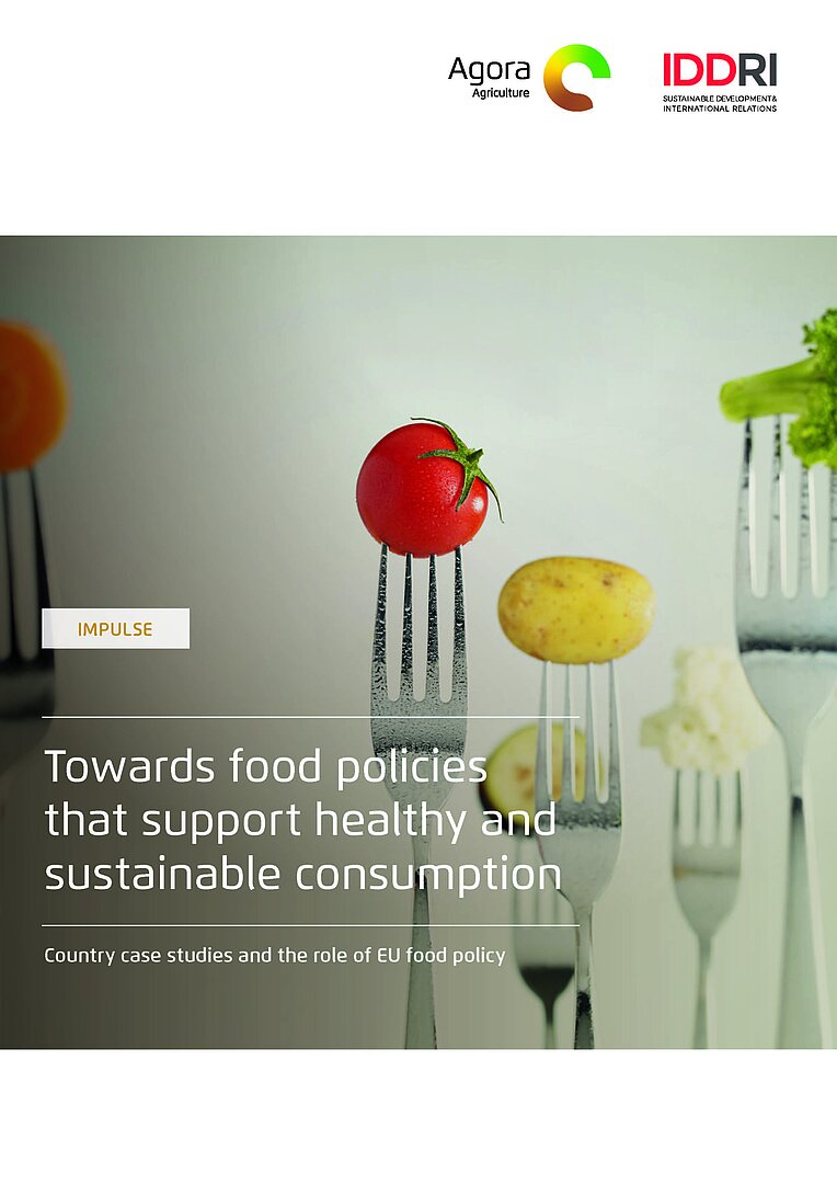 Towards food policies that support healthy and sustainable consumption